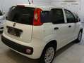 Fiat Panda Van Blanc - thumbnail 7