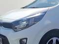 Kia Picanto Edition 7 DAB/Sitzheizung/Klima Blanc - thumbnail 5