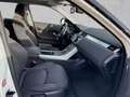 Land Rover Range Rover Evoque TD4 Pure Automatik Alb - thumbnail 3