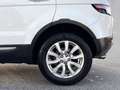 Land Rover Range Rover Evoque TD4 Pure Automatik Alb - thumbnail 9