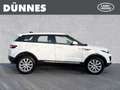 Land Rover Range Rover Evoque TD4 Pure Automatik Weiß - thumbnail 6