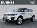 Land Rover Range Rover Evoque TD4 Pure Automatik Alb - thumbnail 1