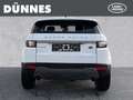 Land Rover Range Rover Evoque TD4 Pure Automatik Alb - thumbnail 7