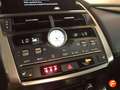 Lexus NX 300h 2.5 Executive Navigation Gris - thumbnail 18