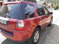 Land Rover Freelander Freelander II 2007 2.2 td4 XS - thumbnail 6