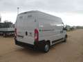 Fiat Ducato furgone medio alto Blanc - thumbnail 4
