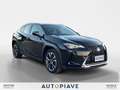 Lexus UX 250h UX Hybrid 4WD Business Zwart - thumbnail 7