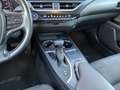 Lexus UX 250h UX Hybrid 4WD Business Zwart - thumbnail 21