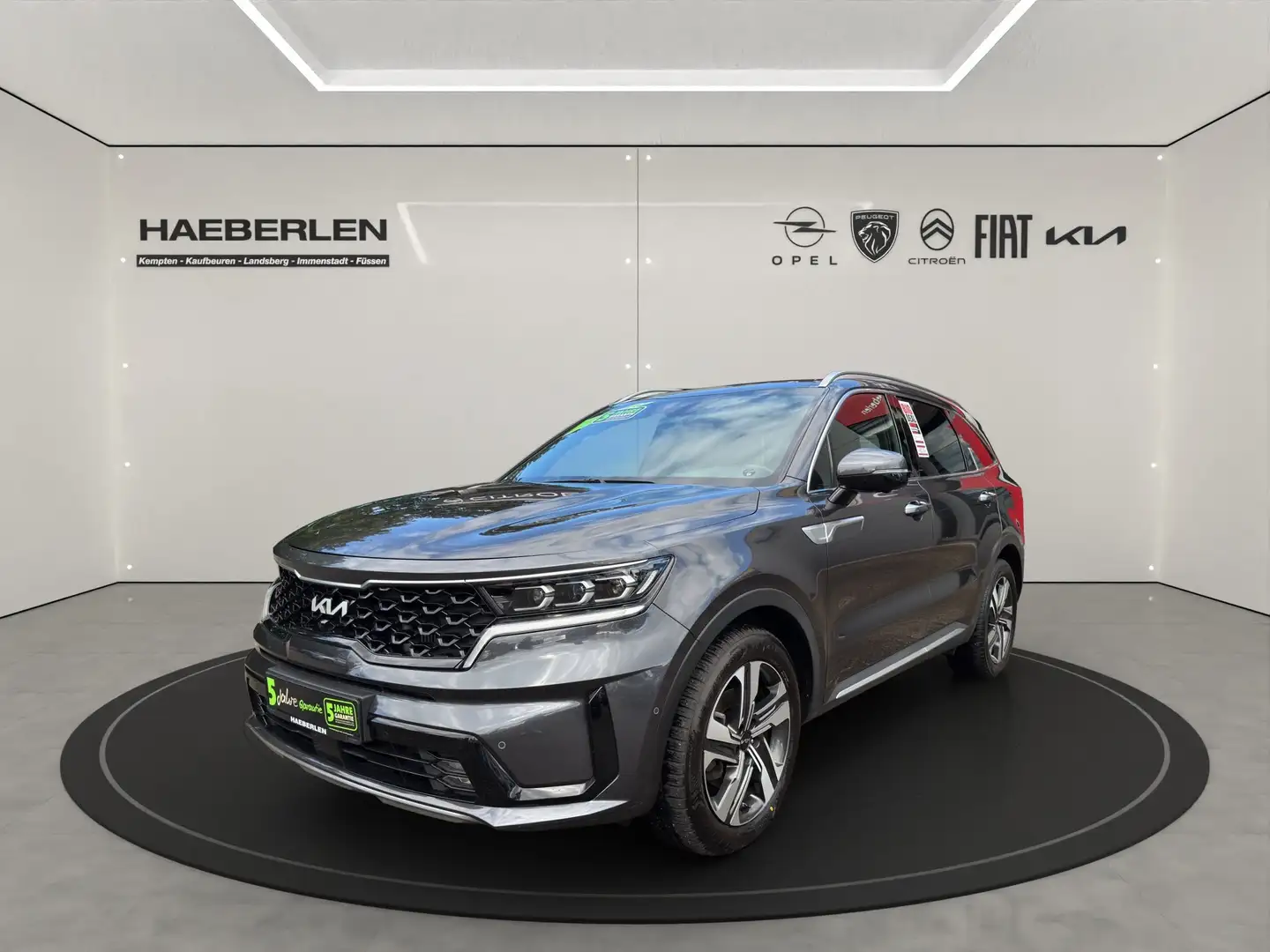 Kia Sorento 1.6 4X4 Platinum ACC+Navi+Pan+SD+360°Bose Grau - 2