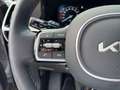 Kia Sorento 1.6 4X4 Platinum ACC+Navi+Pan+SD+360°Bose Grau - thumbnail 24