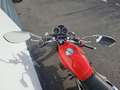 Moto Guzzi V 7 Rouge - thumbnail 7