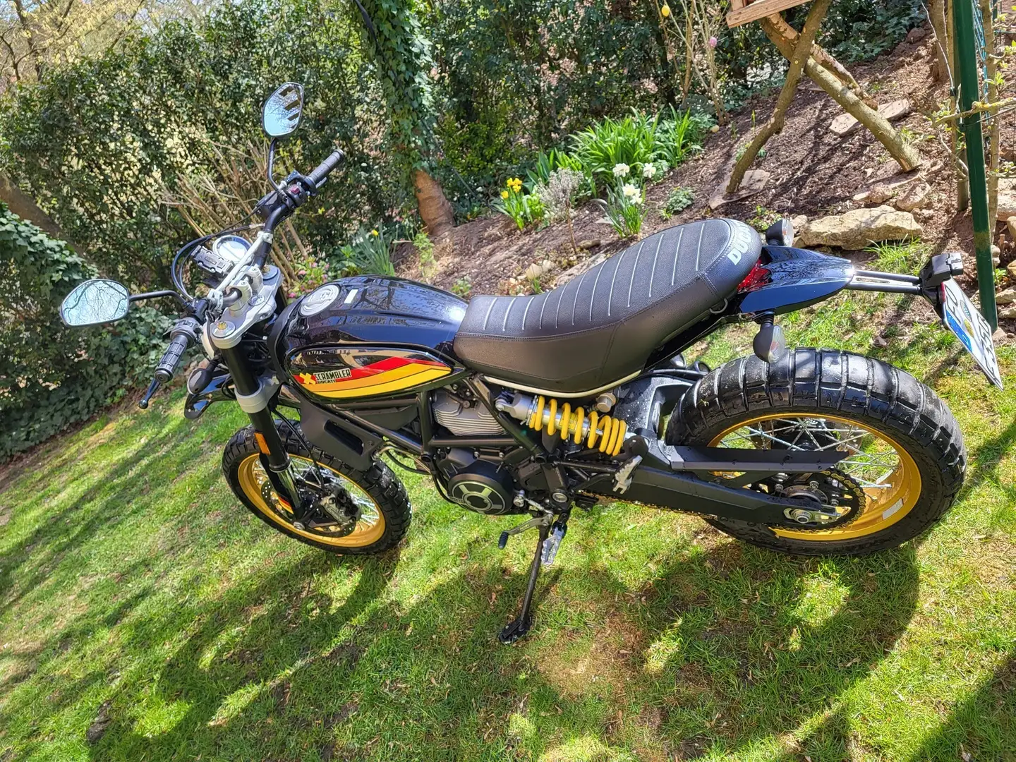 Ducati Scrambler Desert Sled Negro - 2