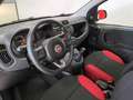 Fiat Panda 1.2 EASY 69CV E6 Bianco - thumbnail 7