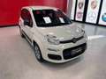 Fiat Panda 1.2 EASY 69CV E6 Weiß - thumbnail 20