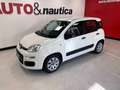 Fiat Panda 1.2 EASY 69CV E6 Weiß - thumbnail 18