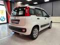 Fiat Panda 1.2 EASY 69CV E6 Weiß - thumbnail 24
