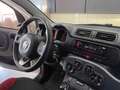 Fiat Panda 1.2 EASY 69CV E6 Weiß - thumbnail 32