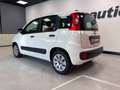 Fiat Panda 1.2 EASY 69CV E6 Bianco - thumbnail 5