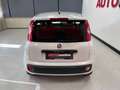 Fiat Panda 1.2 EASY 69CV E6 Weiß - thumbnail 23