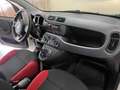 Fiat Panda 1.2 EASY 69CV E6 Weiß - thumbnail 31