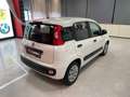 Fiat Panda 1.2 EASY 69CV E6 Weiß - thumbnail 25