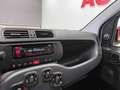 Fiat Panda 1.2 EASY 69CV E6 Bianco - thumbnail 11