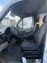 Mercedes-Benz Sprinter frigorifique - congélateur  dholandia  showroom Blanc - thumbnail 12