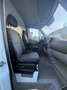 Mercedes-Benz Sprinter frigorifique - congélateur  dholandia  showroom Blanc - thumbnail 13