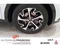 Kia Sportage Spirit 4WD 1.6 T-GDI Mild-Hybrid Navi LED PDC Rück Blanc - thumbnail 14