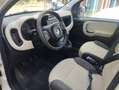 Fiat Panda Panda 1.2 Classic easypower Gpl 69cv Bianco - thumbnail 11