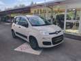 Fiat Panda Panda 1.2 Classic easypower Gpl 69cv Bianco - thumbnail 5