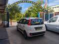 Fiat Panda Panda 1.2 Classic easypower Gpl 69cv Bianco - thumbnail 7
