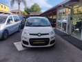 Fiat Panda Panda 1.2 Classic easypower Gpl 69cv Bianco - thumbnail 10