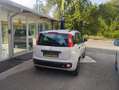 Fiat Panda Panda 1.2 Classic easypower Gpl 69cv Bianco - thumbnail 9