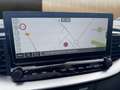 Kia Ceed SW / cee'd SW Plug-in Hybrid Platinum Edition Grau - thumbnail 10