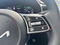 Kia Ceed SW / cee'd SW Plug-in Hybrid Platinum Edition Grau - thumbnail 18