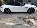Mercedes-Benz SL 63 AMG AMG SL 63 Premium Plus 4matic+ auto Bianco - thumbnail 4