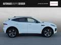 Jaguar E-Pace P250 AWD R-DYNAMIC SE  ACC LED Weiß - thumbnail 6
