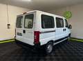Citroen Jumper HDi85 Combi Club 29C Weiß - thumbnail 5