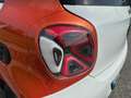smart forFour Prime turbo 90cv 08/19 km28000 Blanc - thumbnail 16