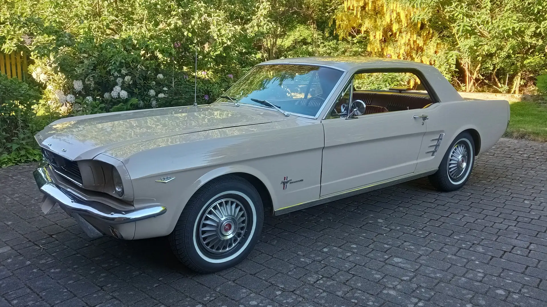Ford Mustang V8 C-Code Hardtop Coupé Beige - 1