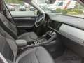 Skoda Kodiaq Tour 2.0 TDI DSG Navigation Anhängerkupplung Schwarz - thumbnail 8
