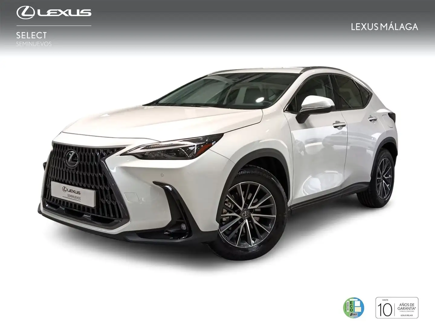 Lexus NX 350h Premium+ 4WD Blanc - 1