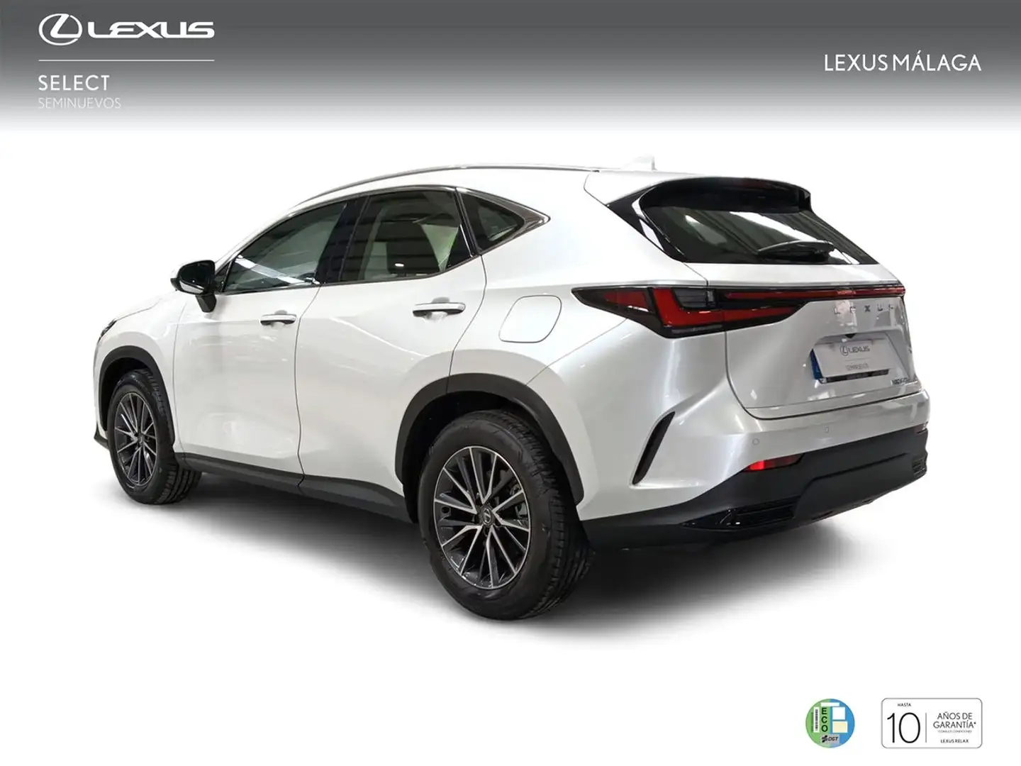 Lexus NX 350h Premium+ 4WD Blanc - 2