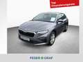 Skoda Scala Selection 1.0 TSI 6-Gang *PDC*LED*SHZ Grau - thumbnail 1
