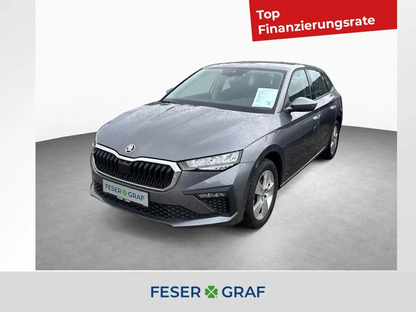Skoda Scala Selection 1.0 TSI 6-Gang *PDC*LED*SHZ Grau - 1