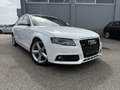Audi A4 3.0 TDI Avant Quattro S-line Weiß - thumbnail 3