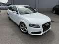 Audi A4 3.0 TDI Avant Quattro S-line Weiß - thumbnail 5