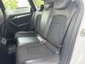 Audi A4 3.0 TDI Avant Quattro S-line Weiß - thumbnail 19