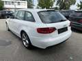 Audi A4 3.0 TDI Avant Quattro S-line Weiß - thumbnail 11